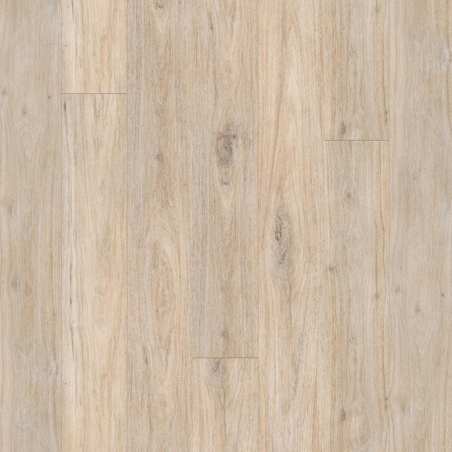 PureGrain Renew - Wood Tech in Cathedral Grove Laminate