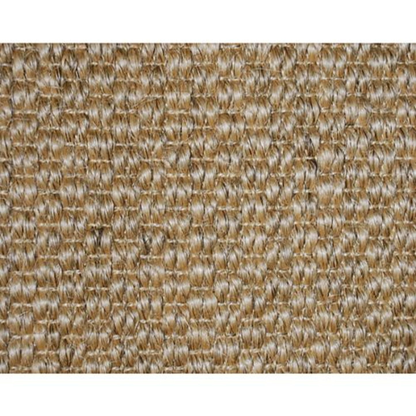 Stetson in Seagrass Carpet