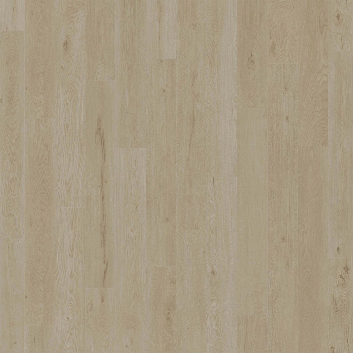 American Standard in Alys Luxury Vinyl