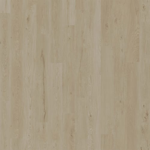 American Standard in Alys