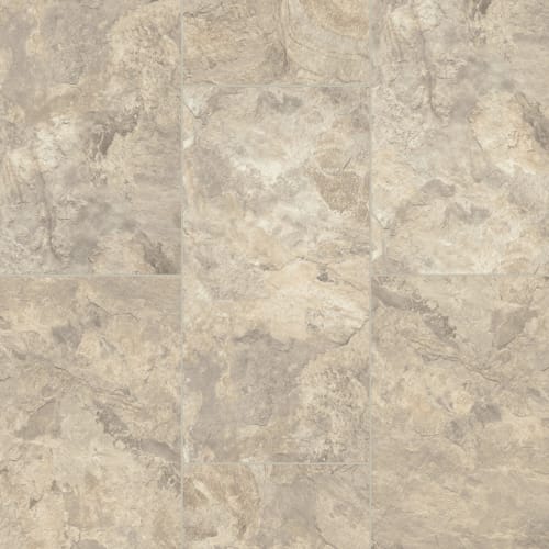 Alterna Mesa Stone in Fieldstone 12" X 24"