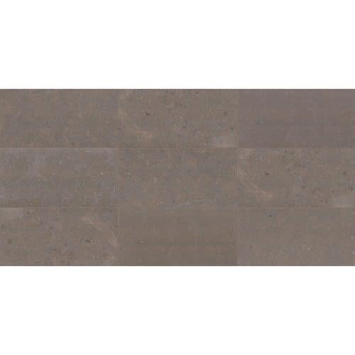 Parksville Stone™ in Matterhorn 12x24