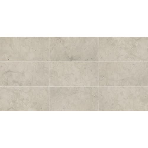 Limestone Collection in Volcanic Gray 24x24 Honed