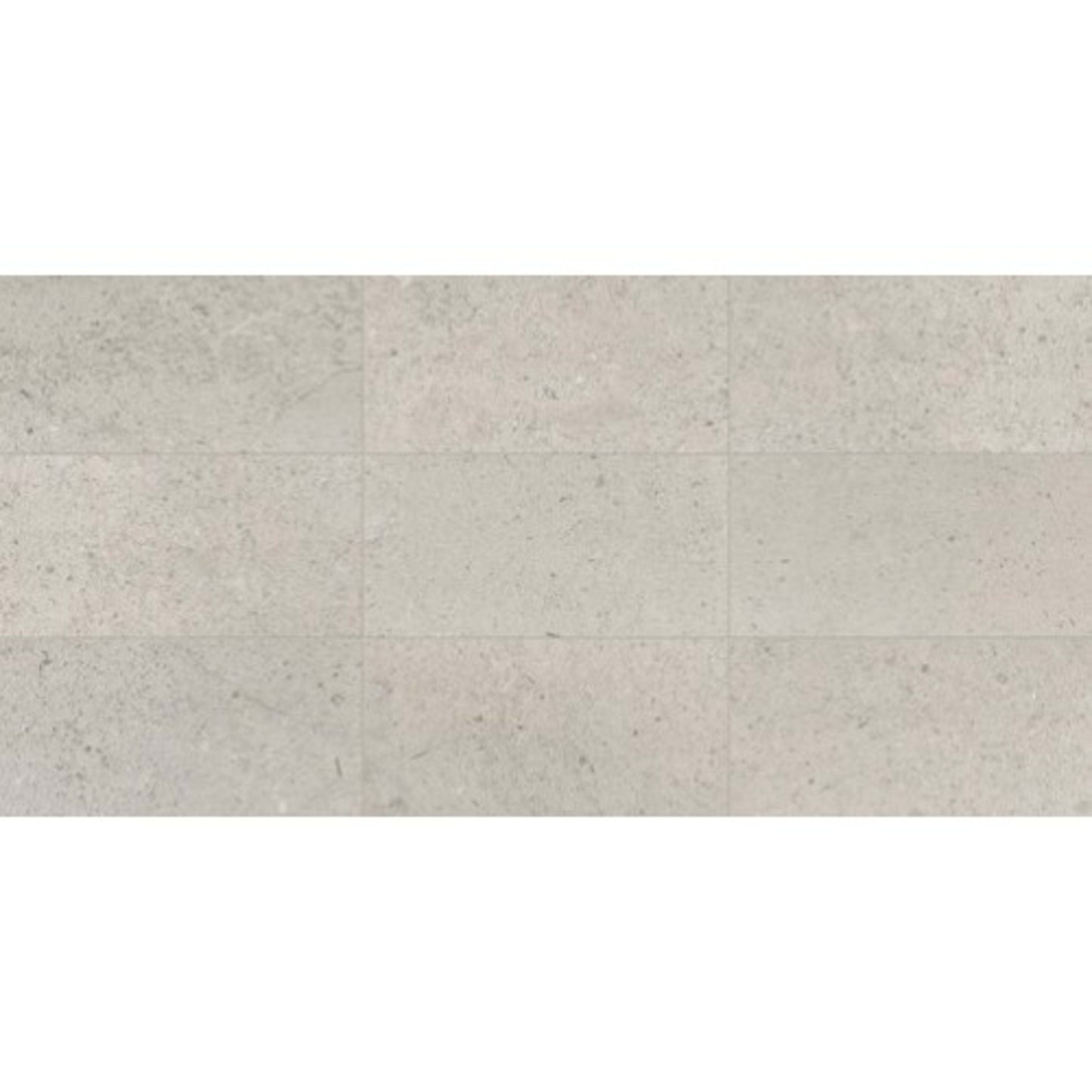 Center City in Delancey Grey 12x24 Honed Natural Stone