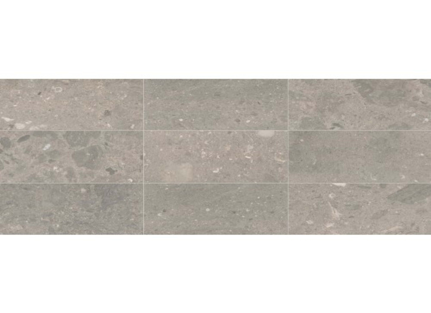 Center City in Arch Grey 24x24 Polished