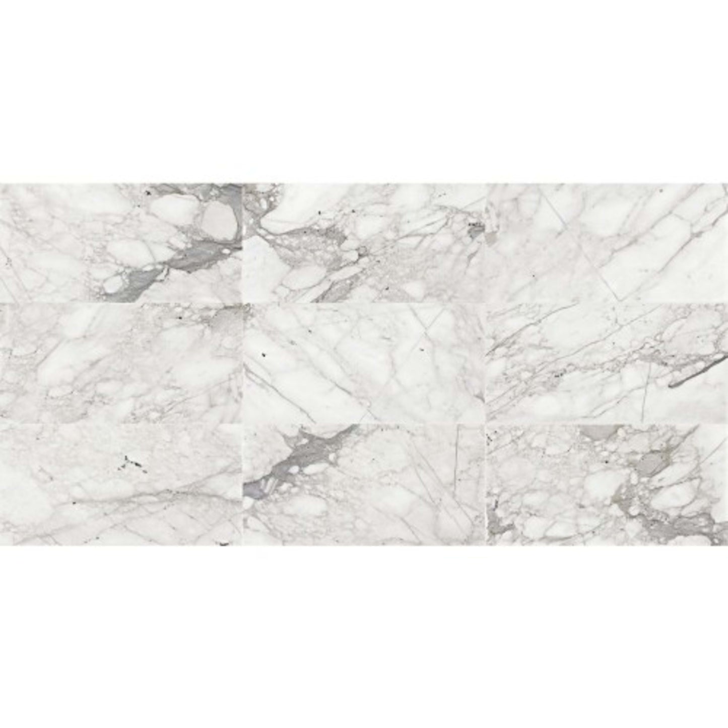Marble Collection in Venetian Calacatta 12x12 Polished Natural Stone