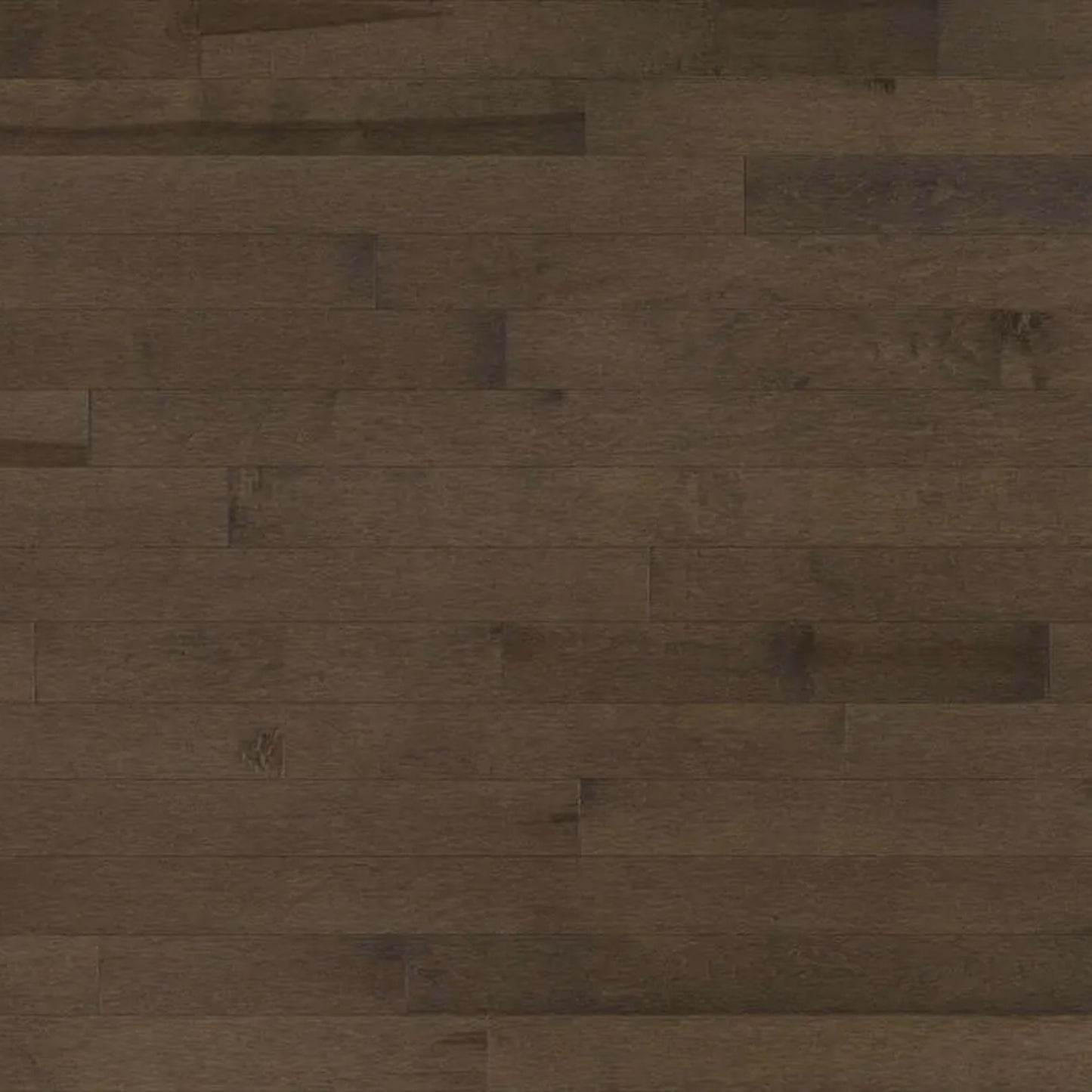 Decor Hard Maple - Engineered in Alpaca 5 3/16 Hardwood
