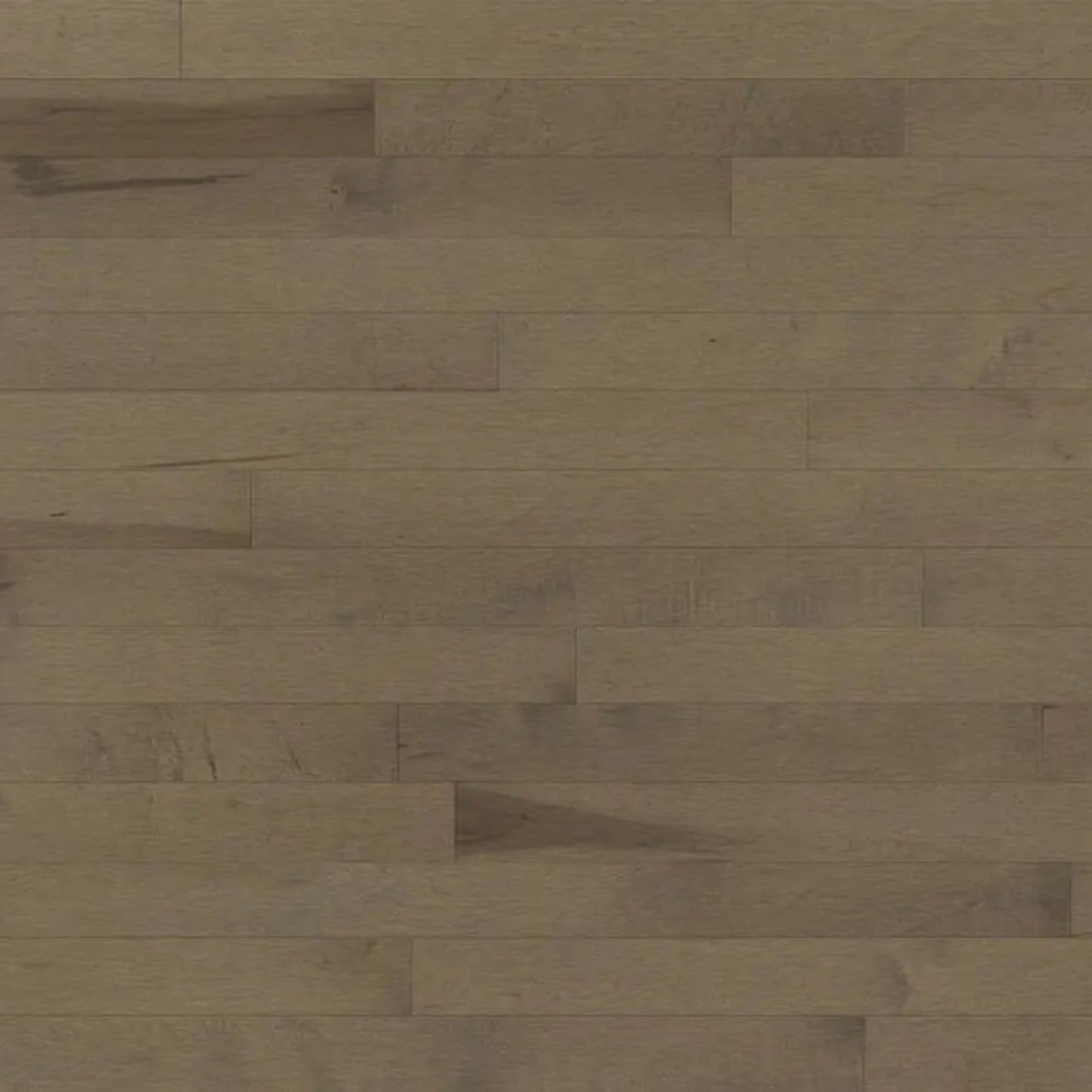 Decor Hard Maple - Engineered in Azaro 5 3/16 Hardwood