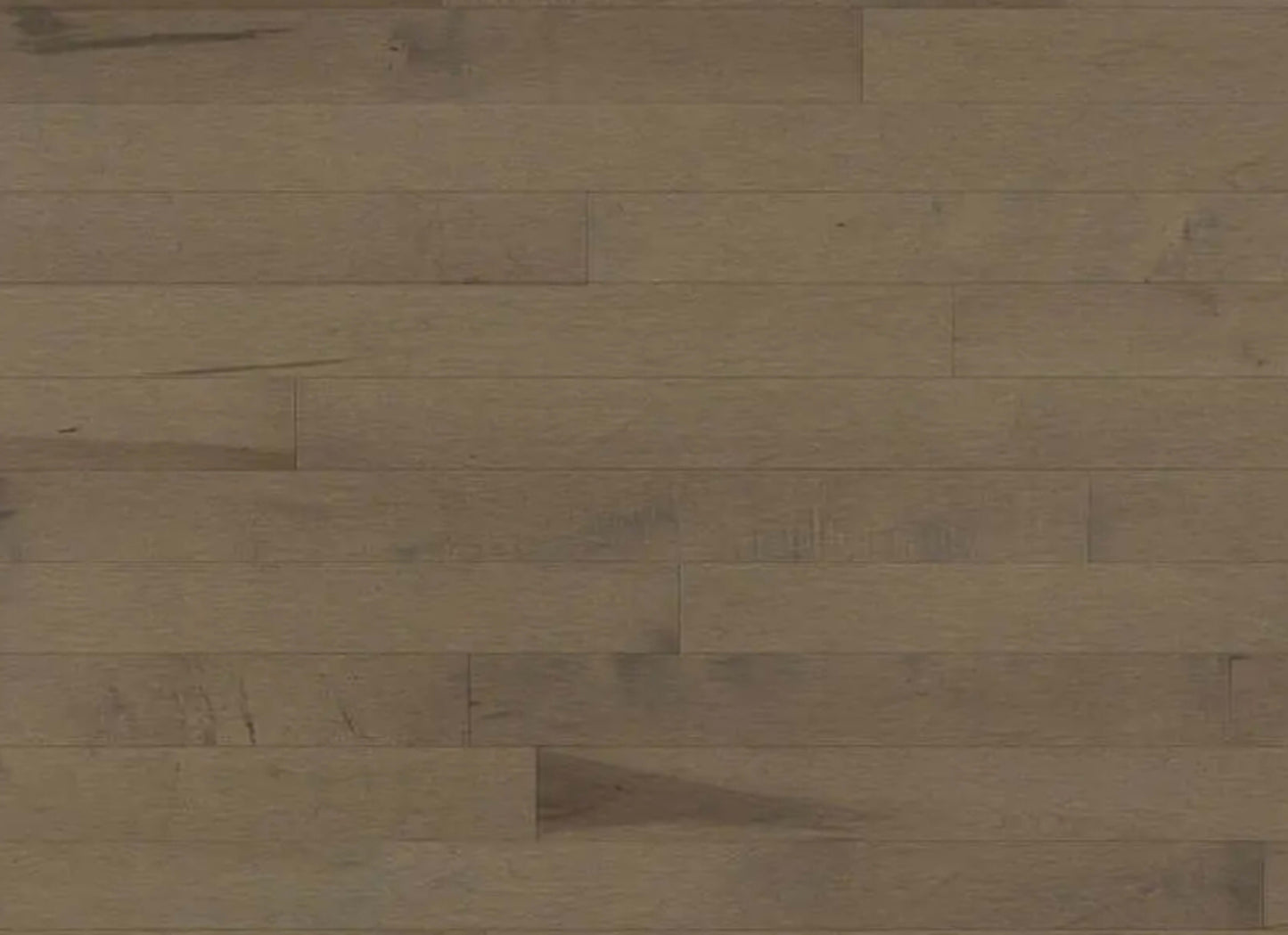 Decor Hard Maple - Engineered in Azaro 5 3/16