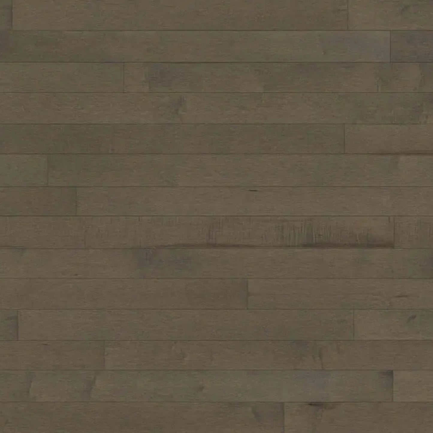 Decor Hard Maple - Engineered in Chasca 5 3/16 Hardwood