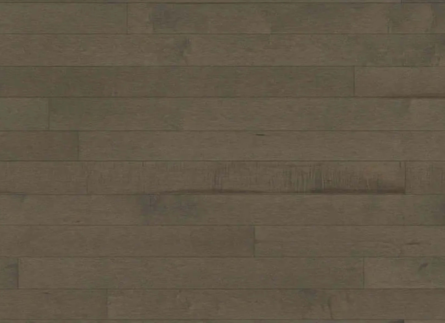 Decor Hard Maple - Engineered in Chasca 5 3/16