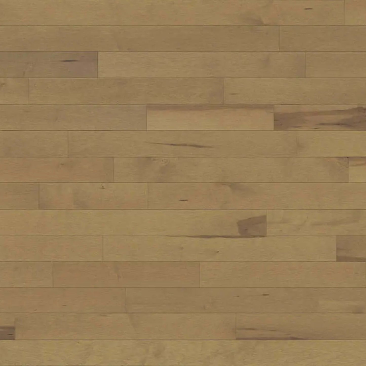 Decor Hard Maple - Engineered in Melia 4.125 Hardwood