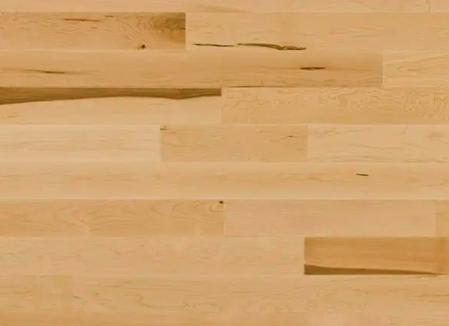 Decor Hard Maple - Engineered in Natural, Exclusive 5 3/16