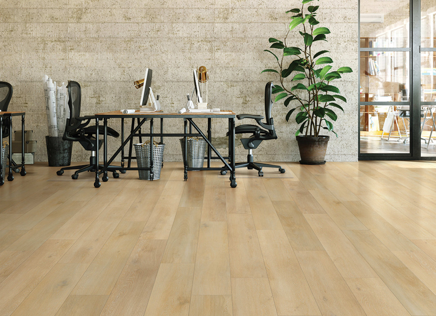Metroflor LVT - Déjà New - San Marcos Oak in Rye