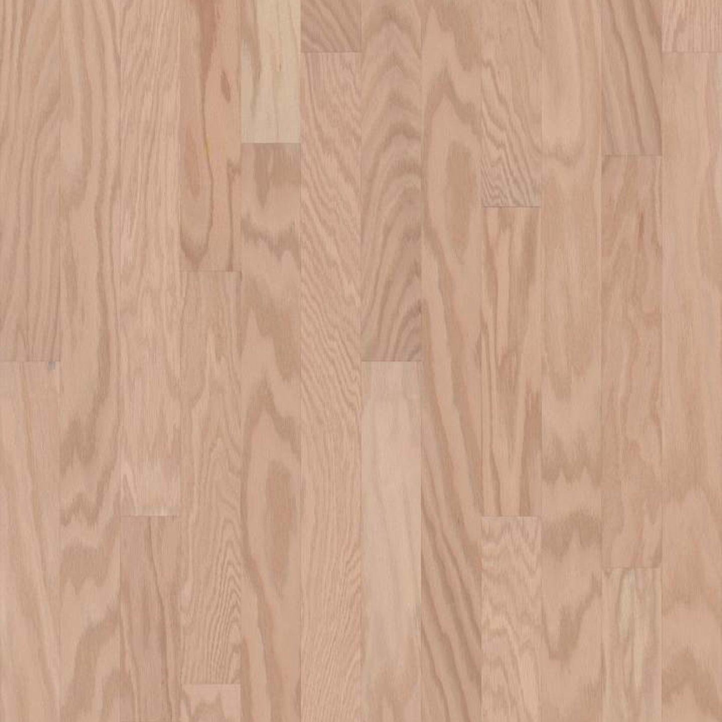 ANN ARBOR 3.25 in Biscuit Lg Hardwood