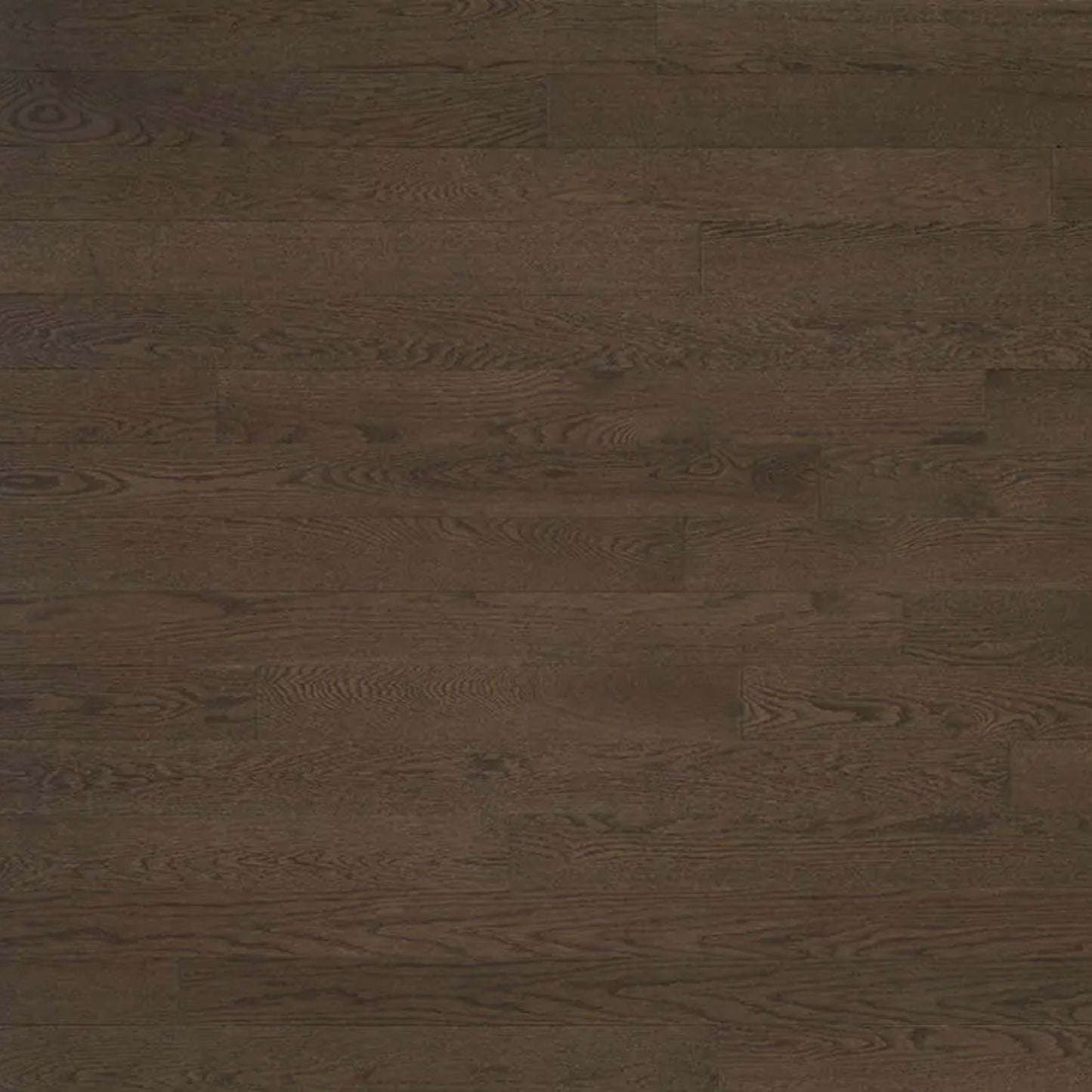 Decor Red Oak - Engineered in Alpaca 3.125 Hardwood