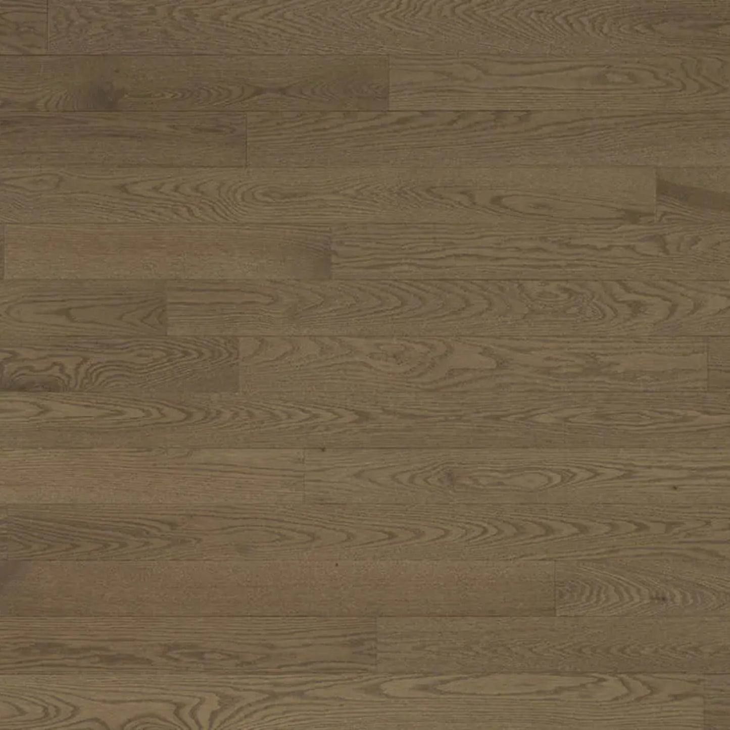 Decor Red Oak - Engineered in Azaro 4.125 Hardwood