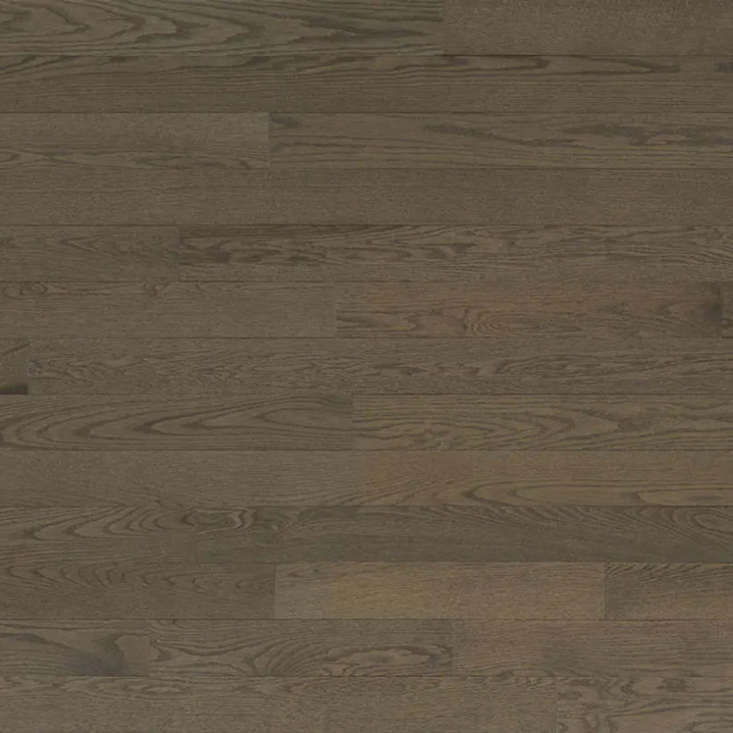 Decor Red Oak - Engineered in Chasca 4.125 Hardwood