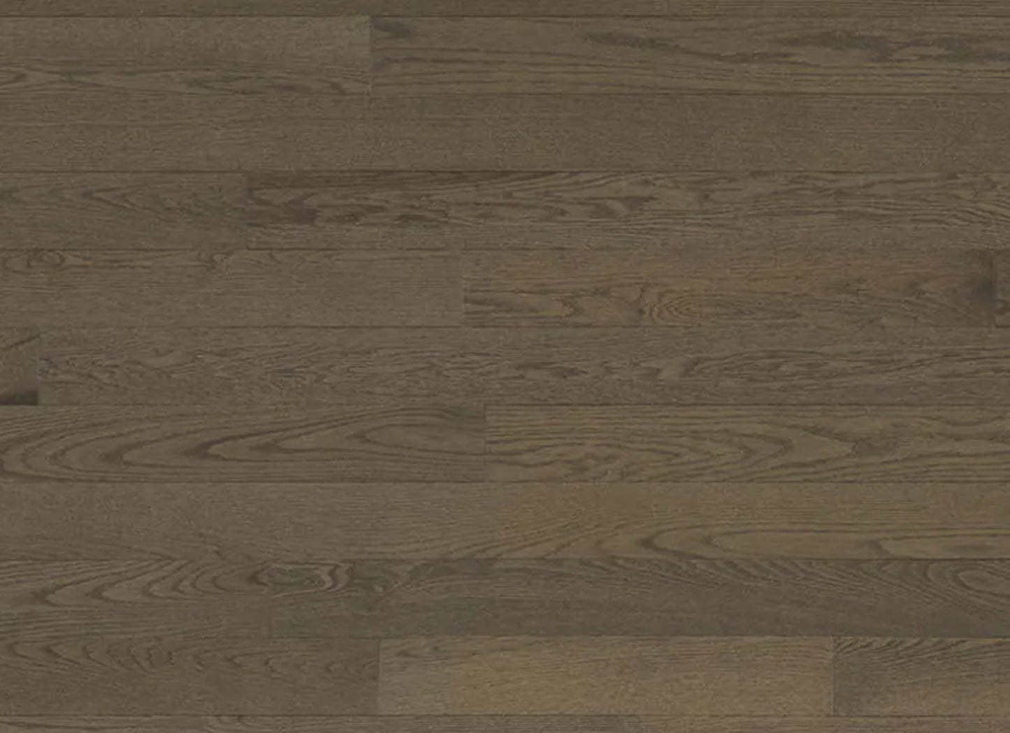 Decor Red Oak - Engineered in Chasca 5 3/16