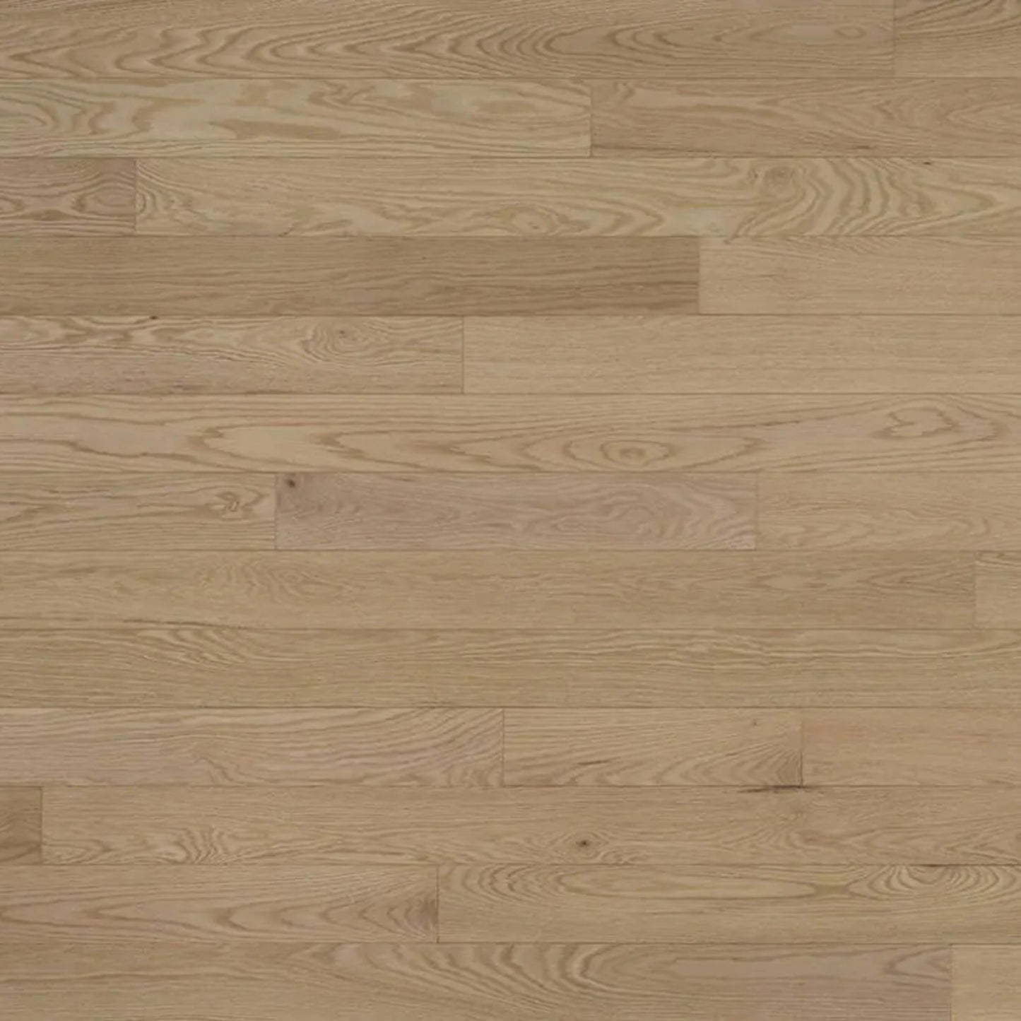 Decor Red Oak - Engineered in Vela 4.125 Hardwood