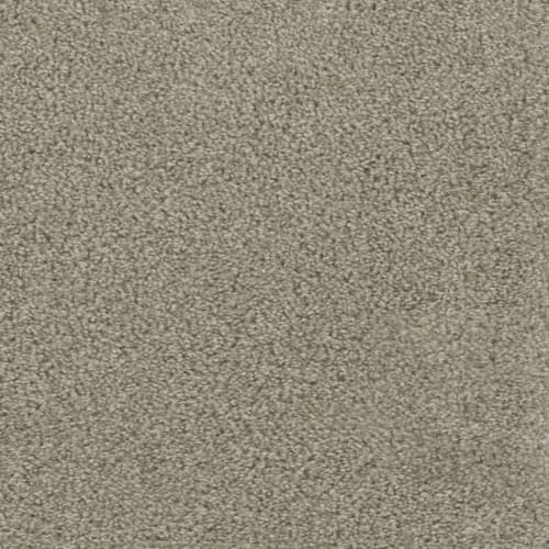 Regal Touch in Plaster
