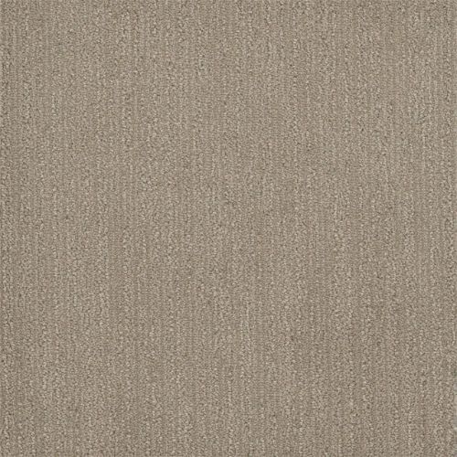 SURFSIDE in Desert Flower