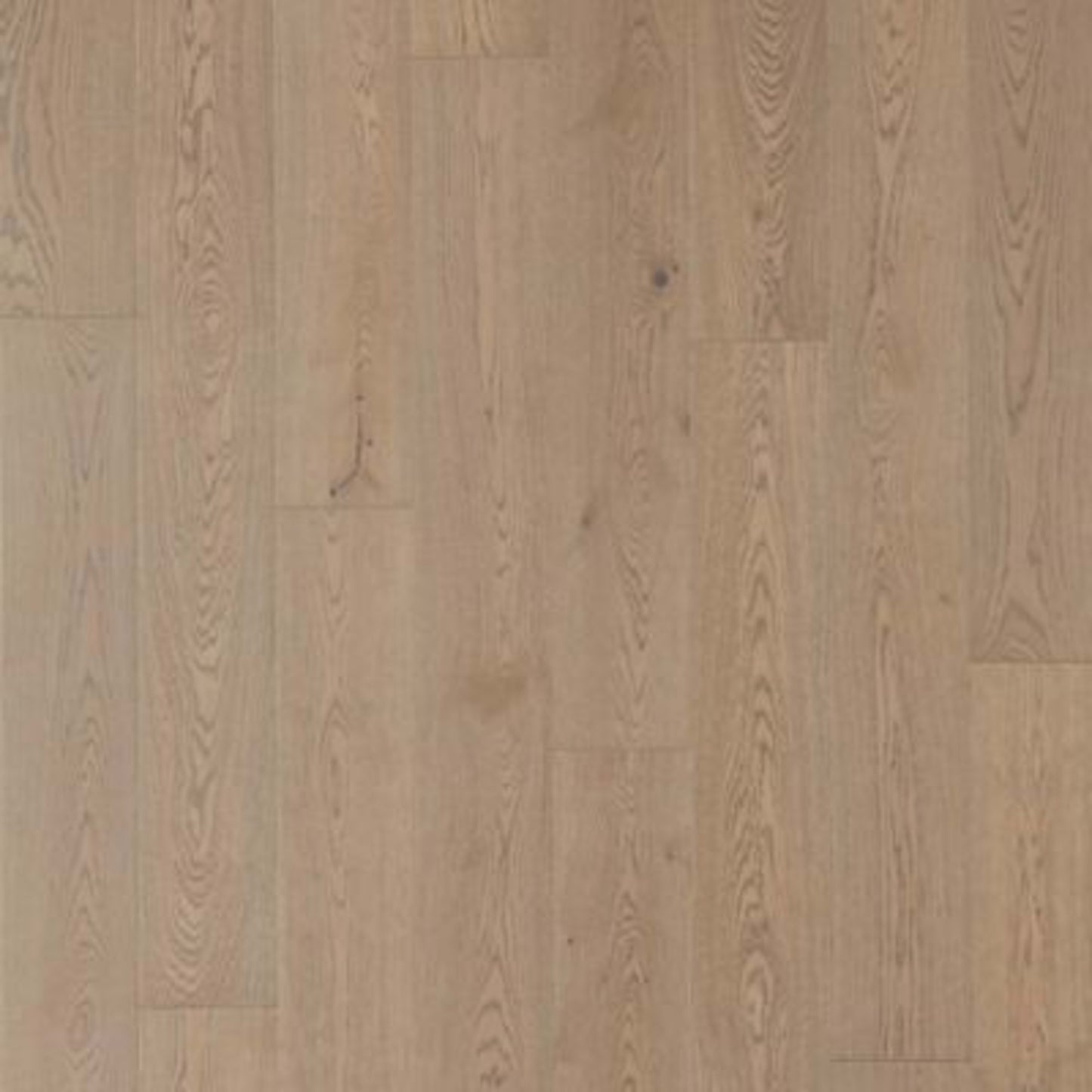Soho Modesto in Dorian Gray Oak Hardwood