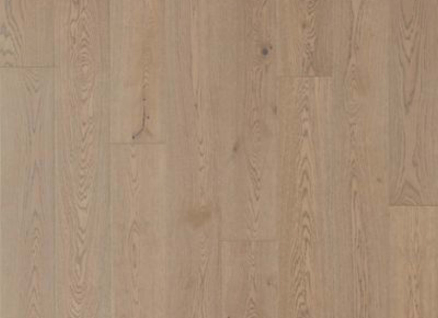 Soho Modesto in Dorian Gray Oak
