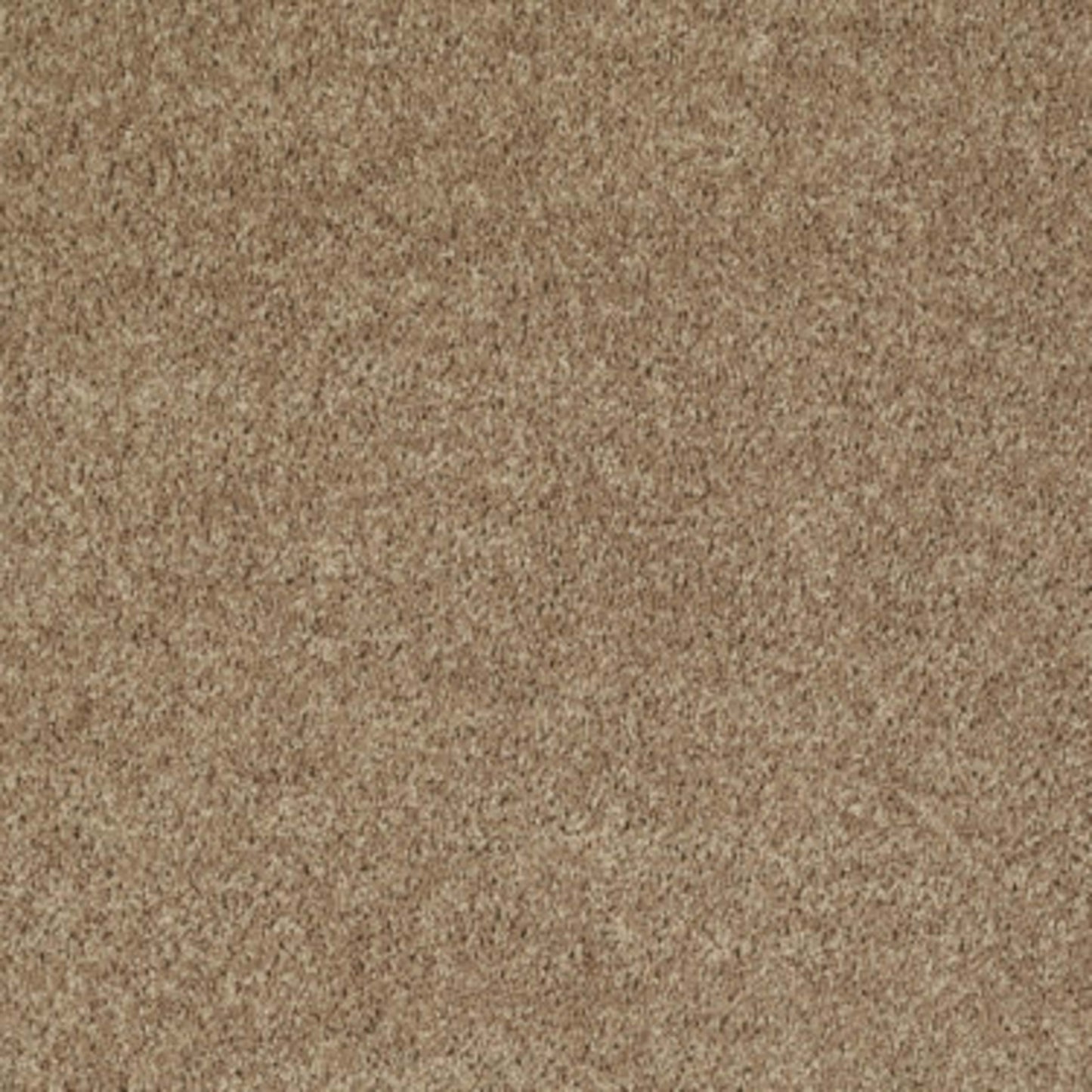 All Star Weekend III 15' in Golden Echoes Carpet