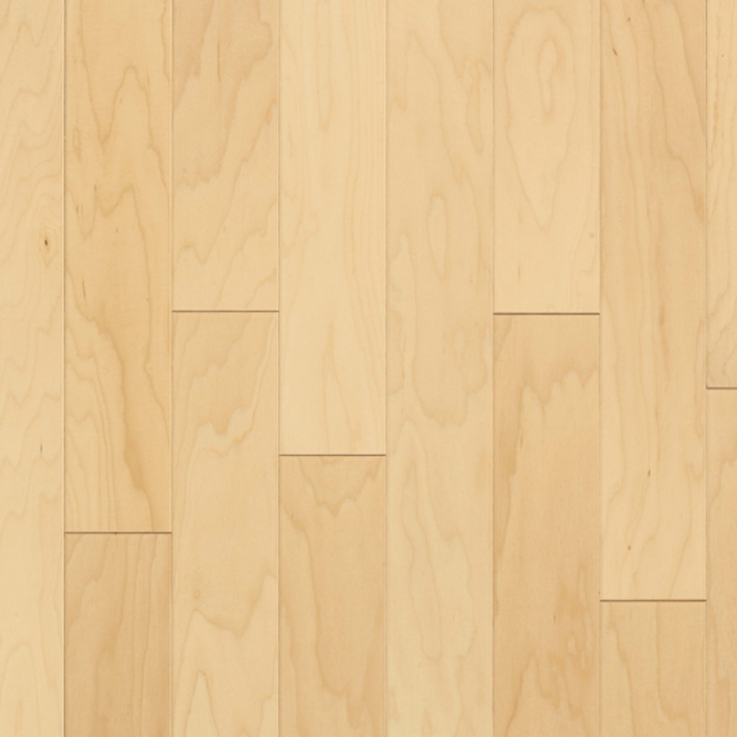 Turlington American Exotics Maple Engineered in Natural 3" Hardwood