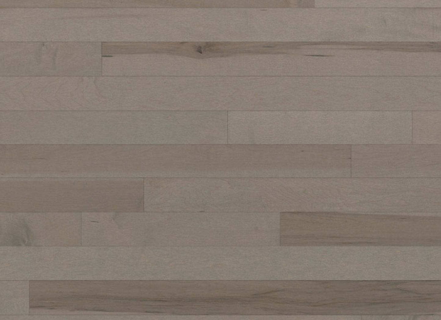 Essential Hard Maple - Engineered in Caliza 3.125