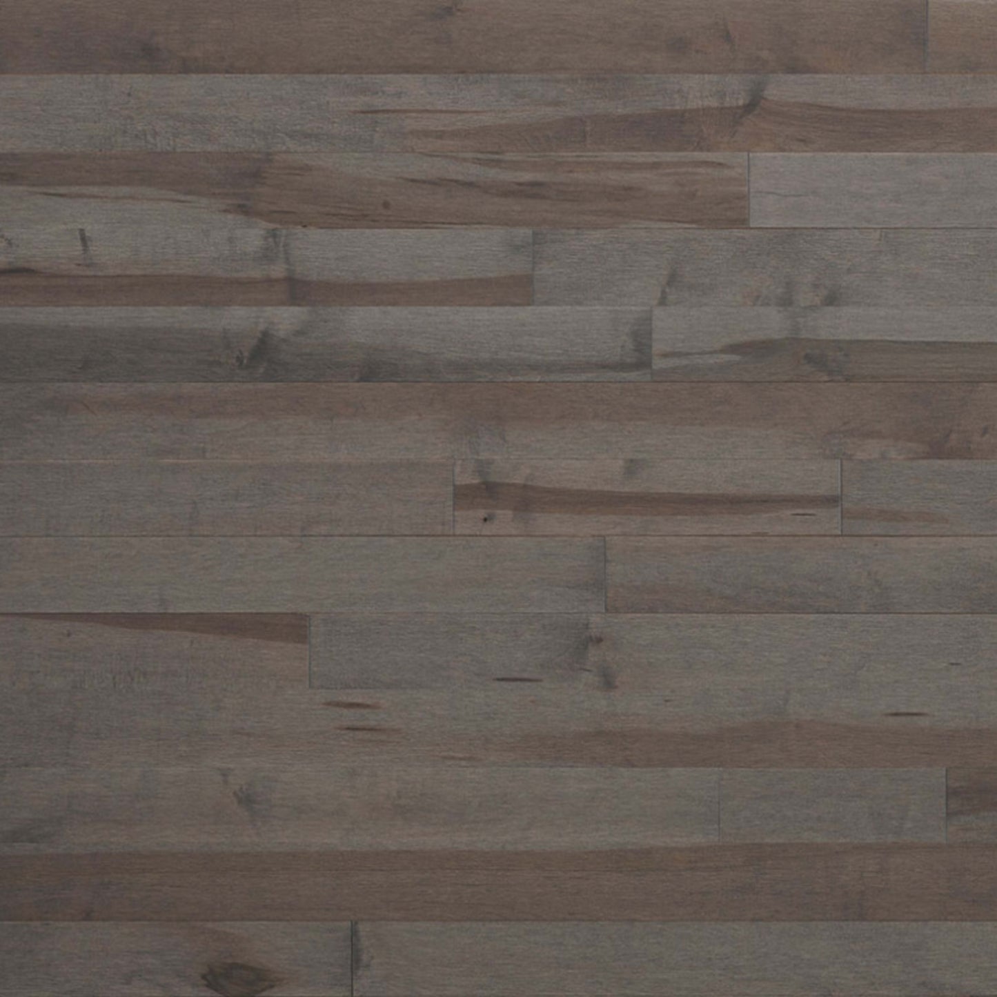 Essential Hard Maple - Engineered in Smoky Grey 3.125 Hardwood