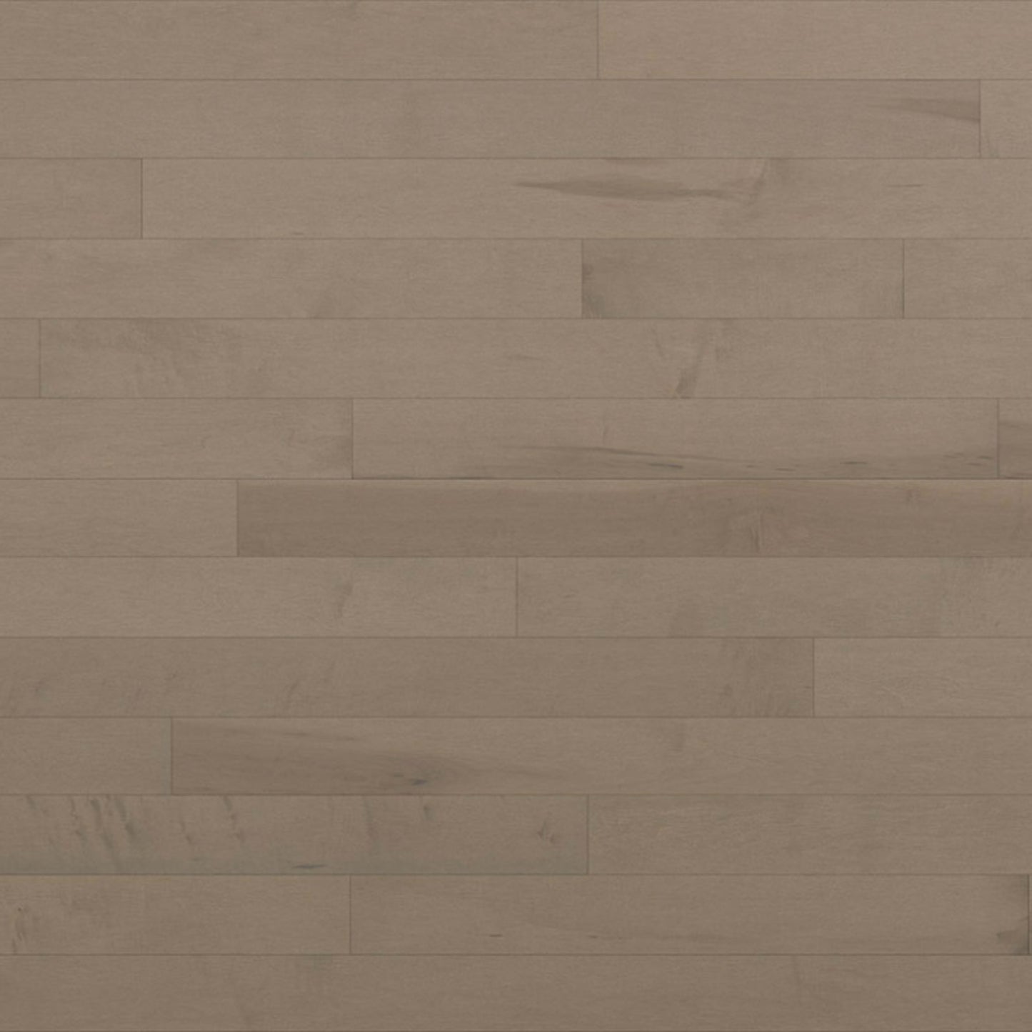 Essential Hard Maple - Engineered in Talpa 4.125 Hardwood
