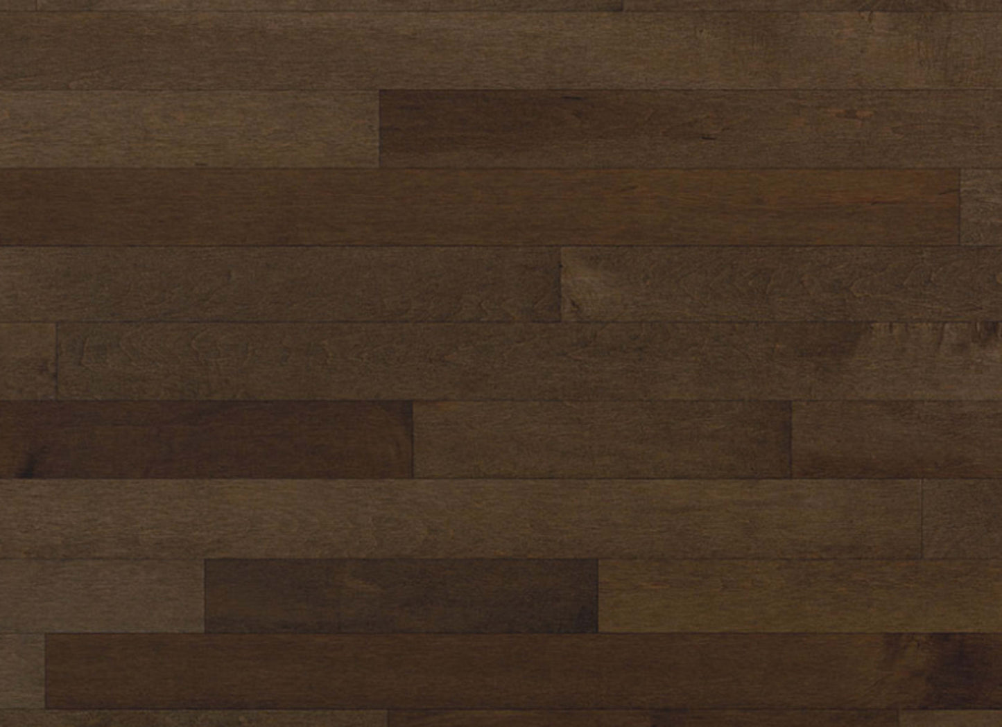 Essential Hard Maple - Engineered in Terroso 4.125