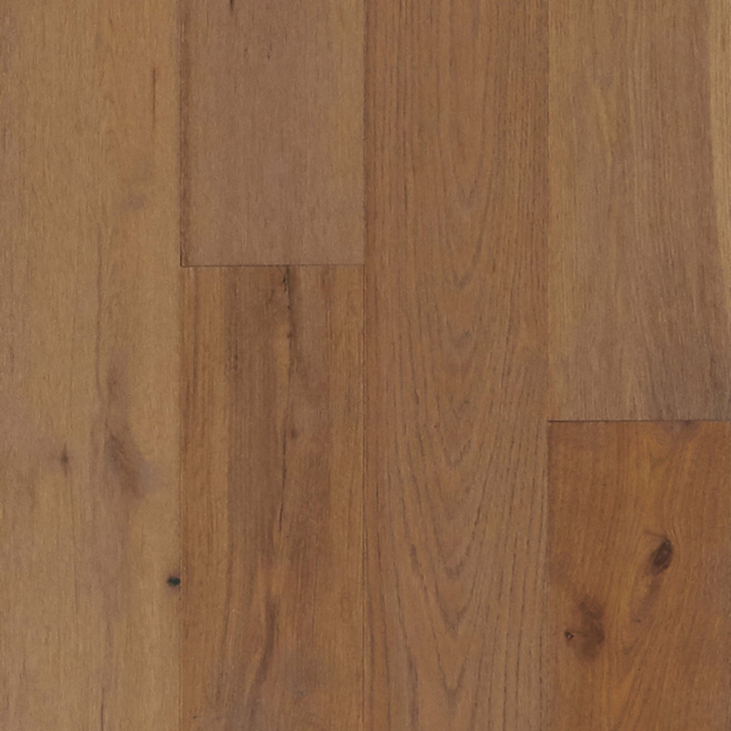 TimberBrushed Gold White Oak Engineered in Sand Mountain Hardwood
