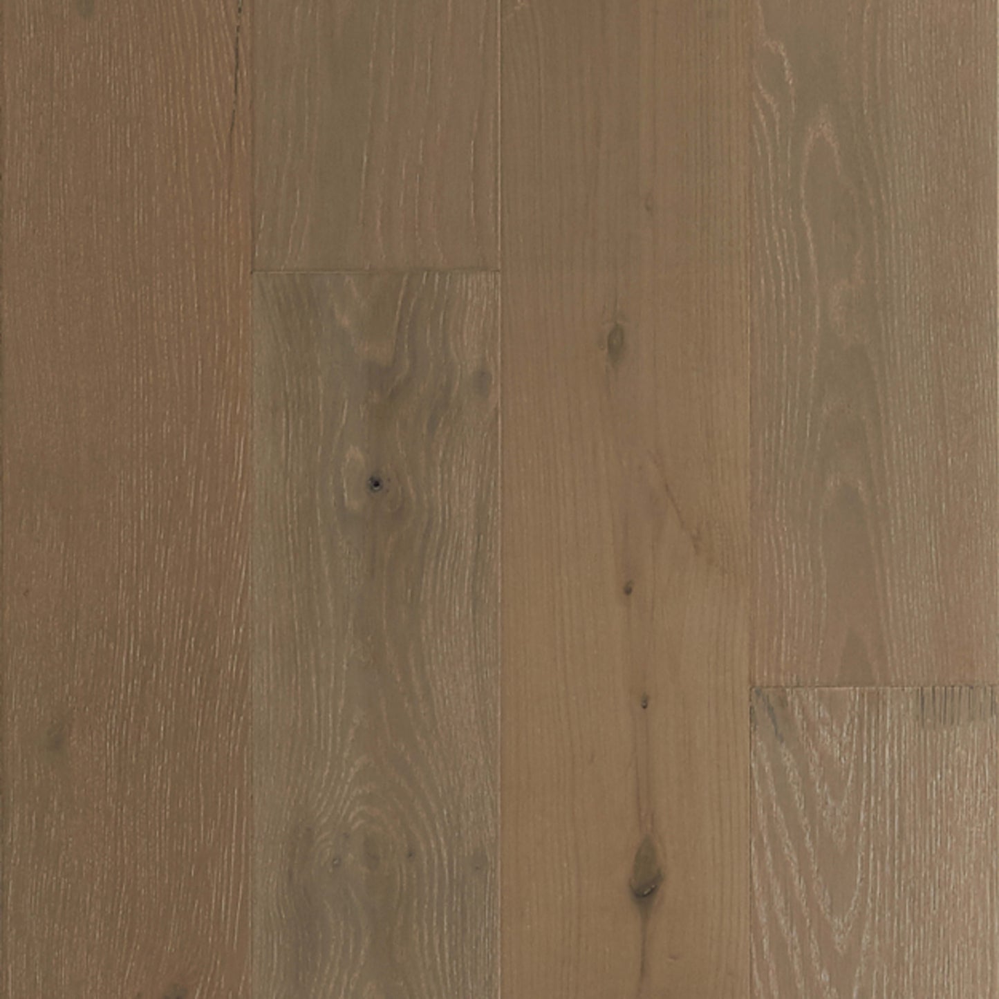 TimberBrushed Gold White Oak Engineered in Coast To Coast Hardwood