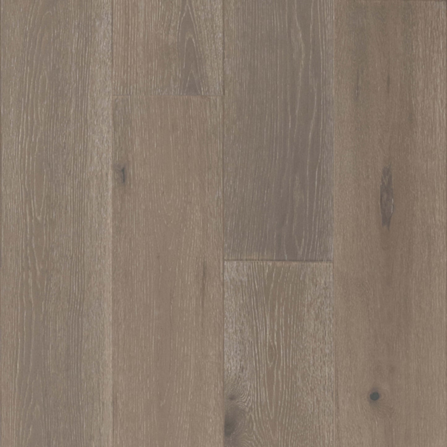 TimberBrushed Gold White Oak Engineered in Breezy Point Hardwood
