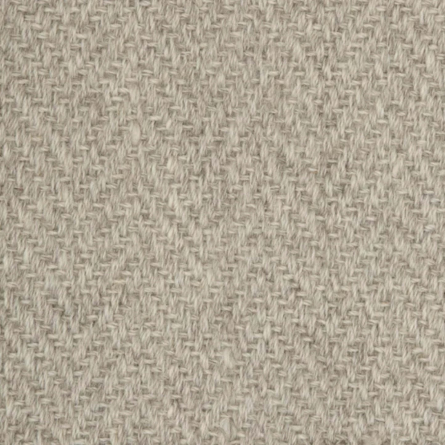Elegance in Platinum Carpet