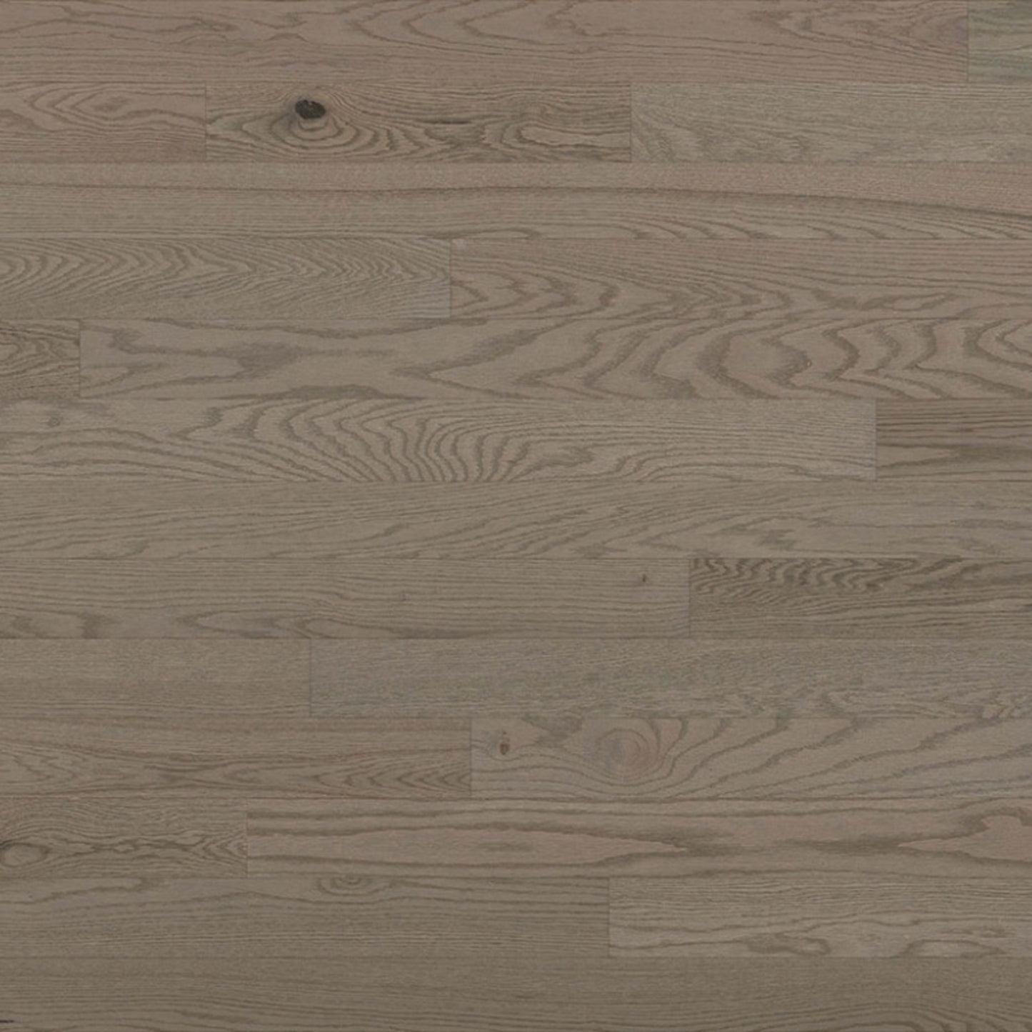 Essential Red Oak - Engineered in Caliza 3.125 Hardwood