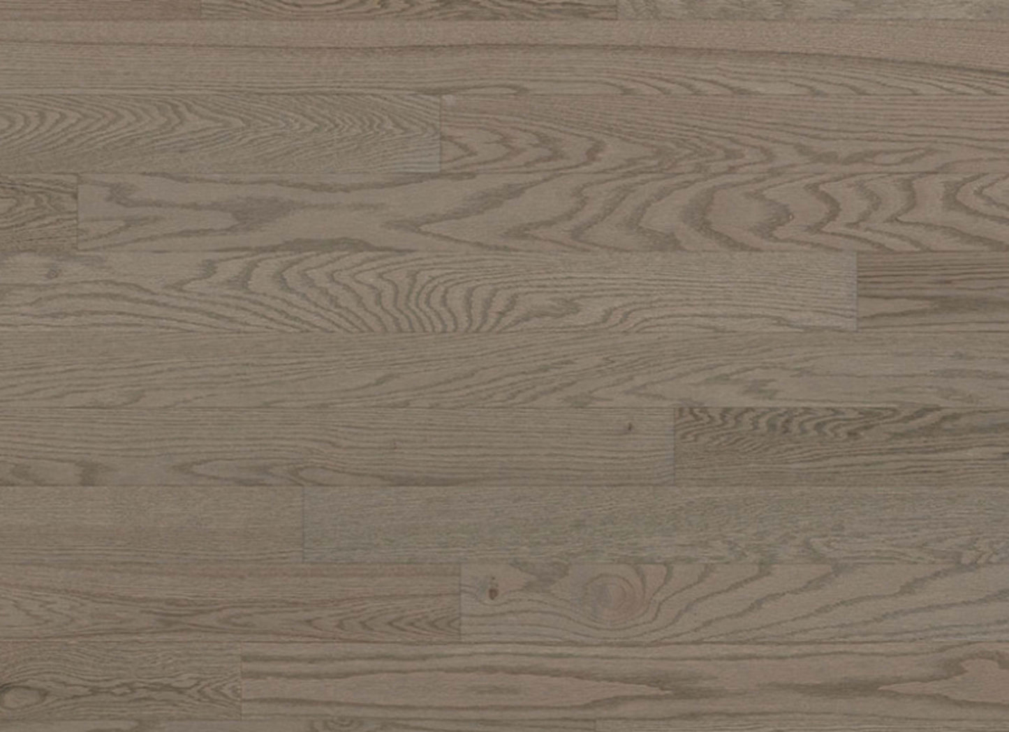 Essential Red Oak - Engineered in Caliza 4.125