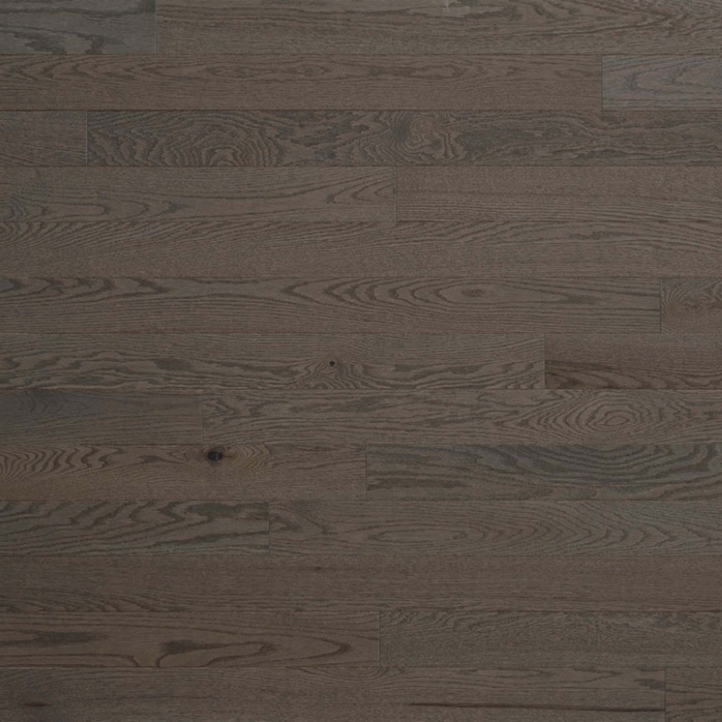 Essential Red Oak - Engineered in Smoky Grey 3.125 Hardwood