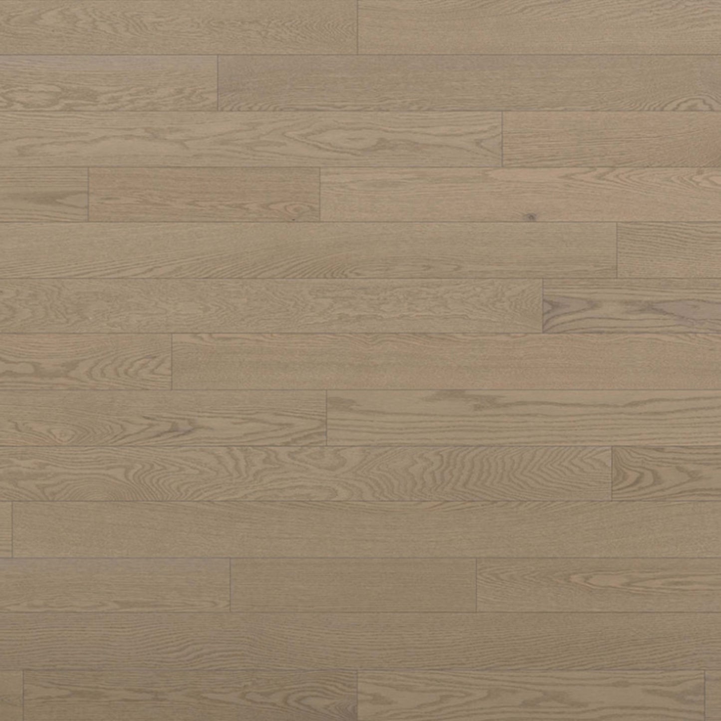 Essential Red Oak - Engineered in Talpa 4.125 Hardwood