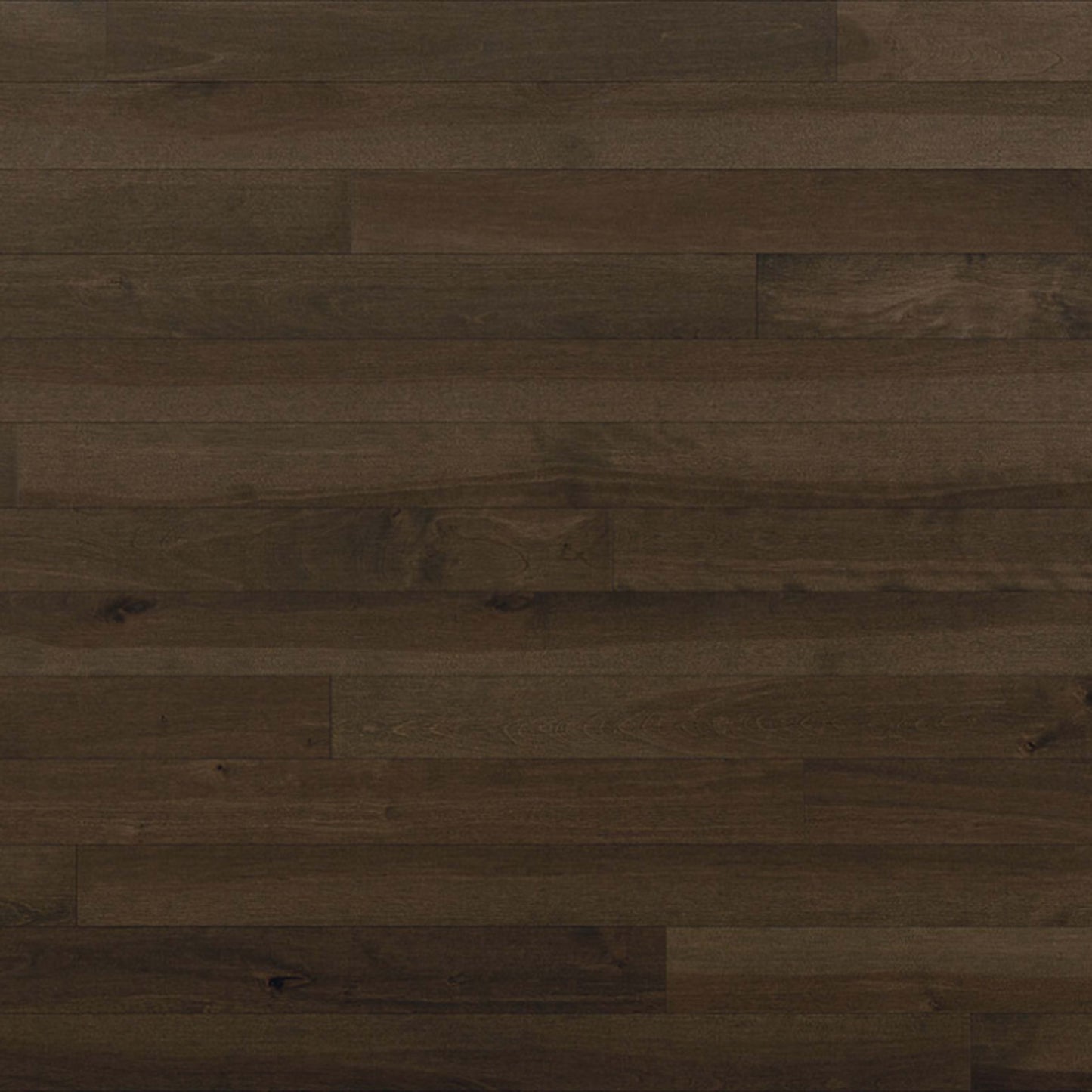 Essential Yellow Birch - Solid in Castano 3.25 Hardwood