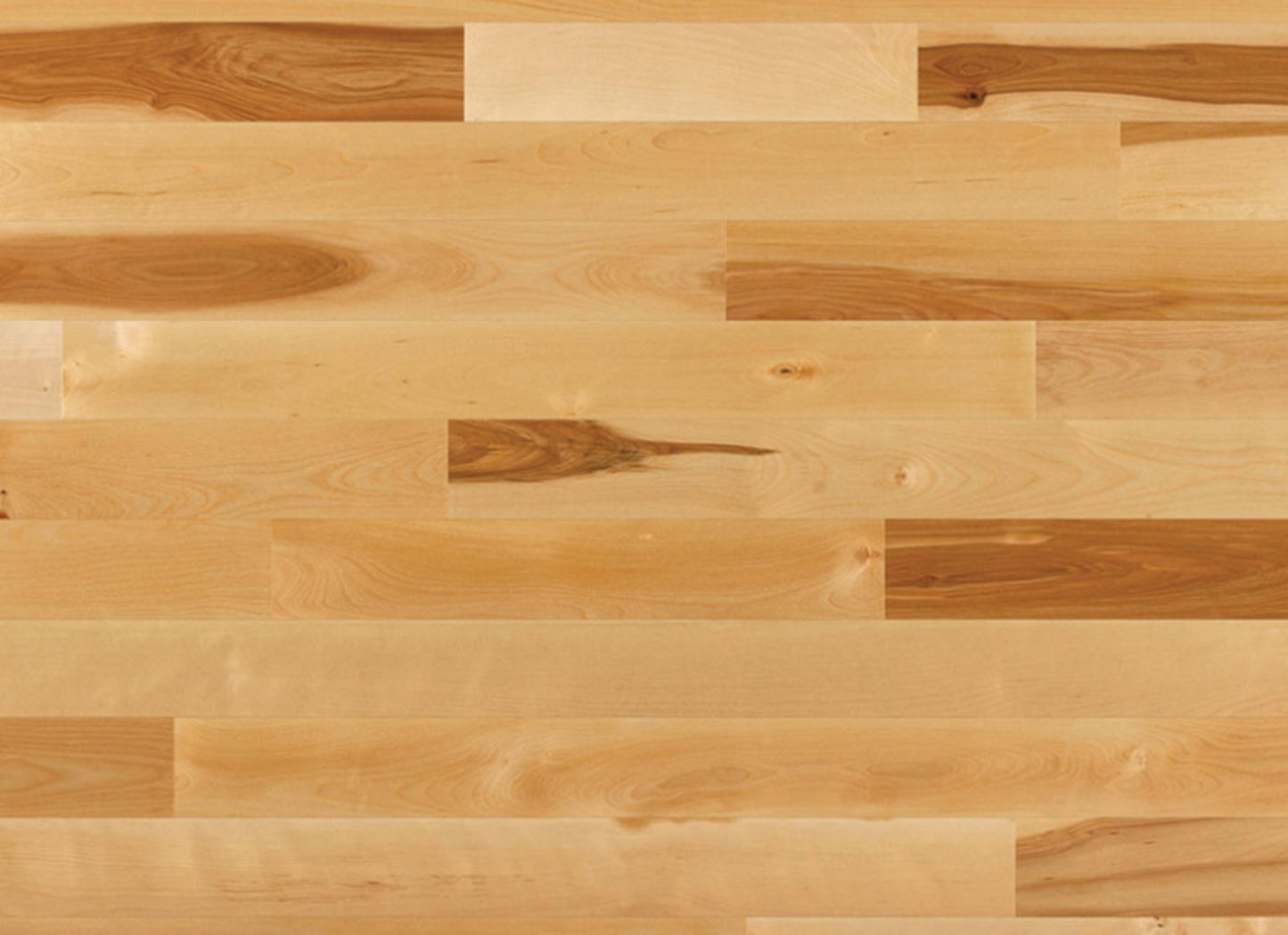 Essential Yellow Birch - Solid in Natural, Tradition 2.25