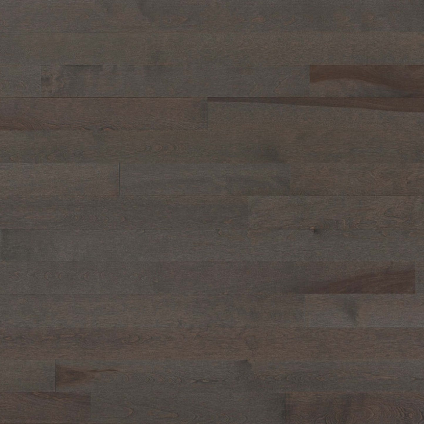 Essential Yellow Birch - Solid in Smoky Grey 3.25 Hardwood