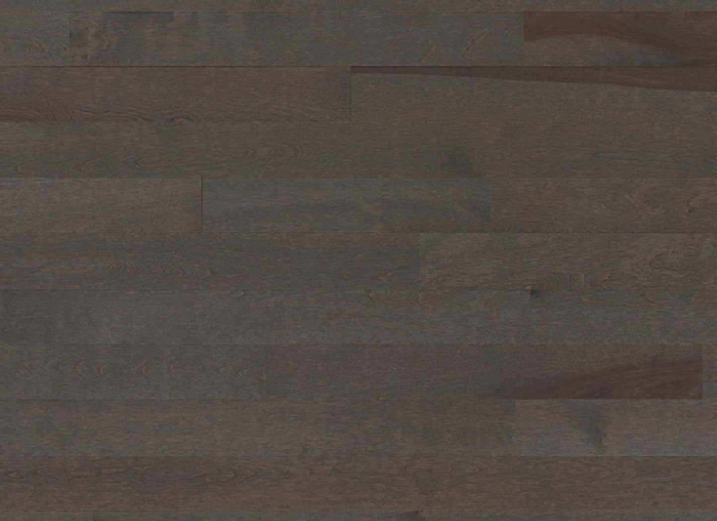 Essential Yellow Birch - Solid in Smoky Grey 3.25