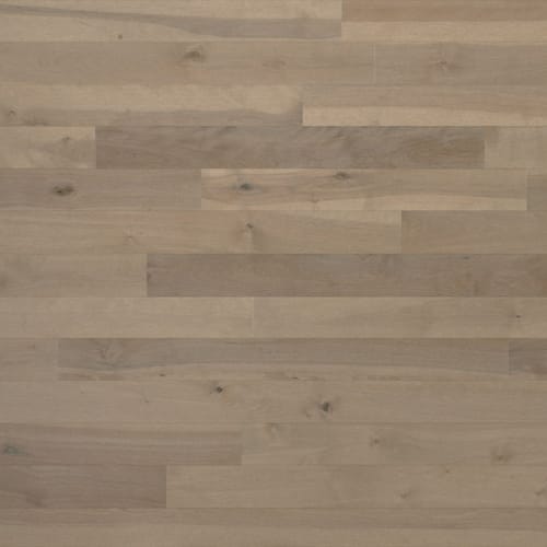 Essential Yellow Birch - Solid in Talpa 3.25