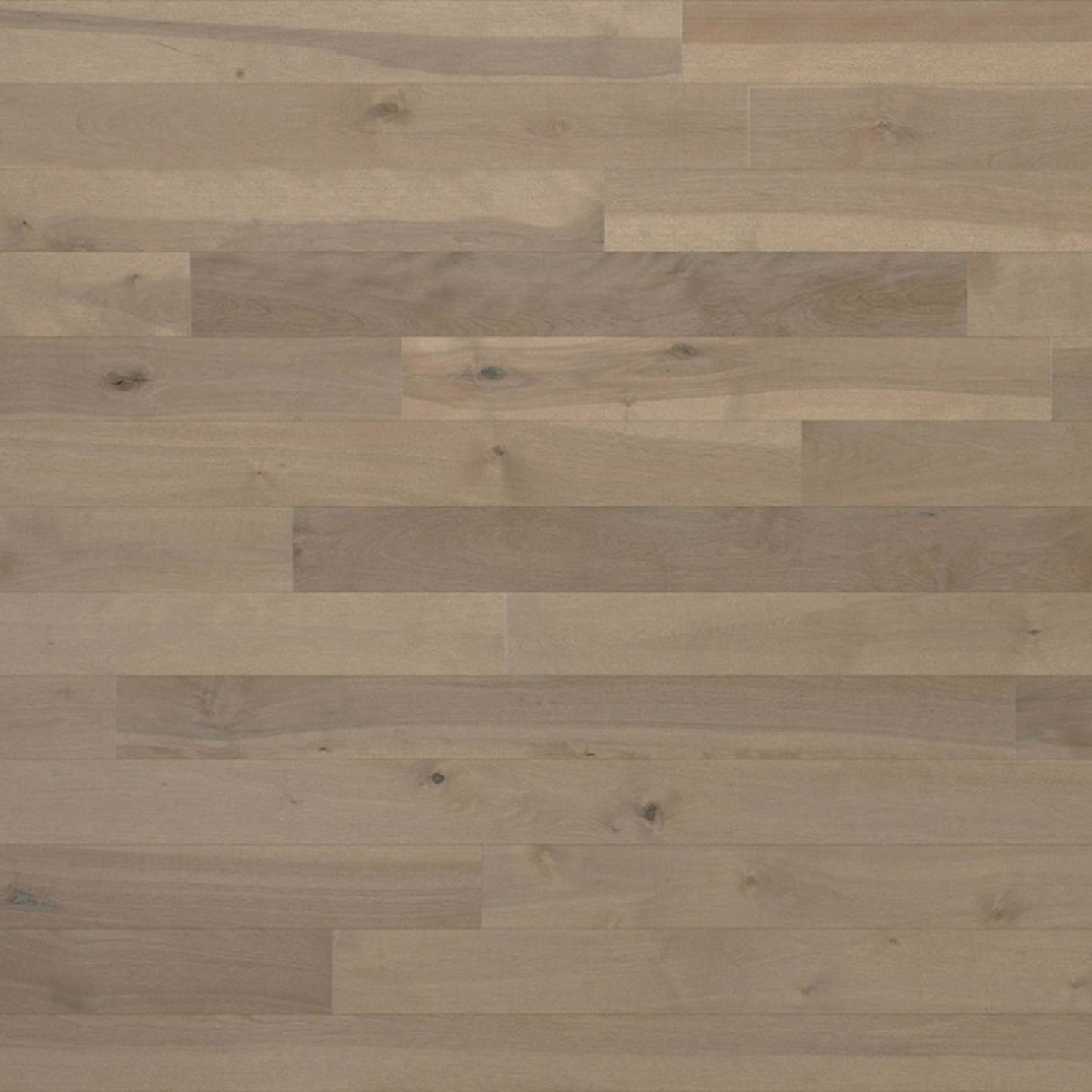 Essential Yellow Birch - Solid in Talpa 2.25 Hardwood
