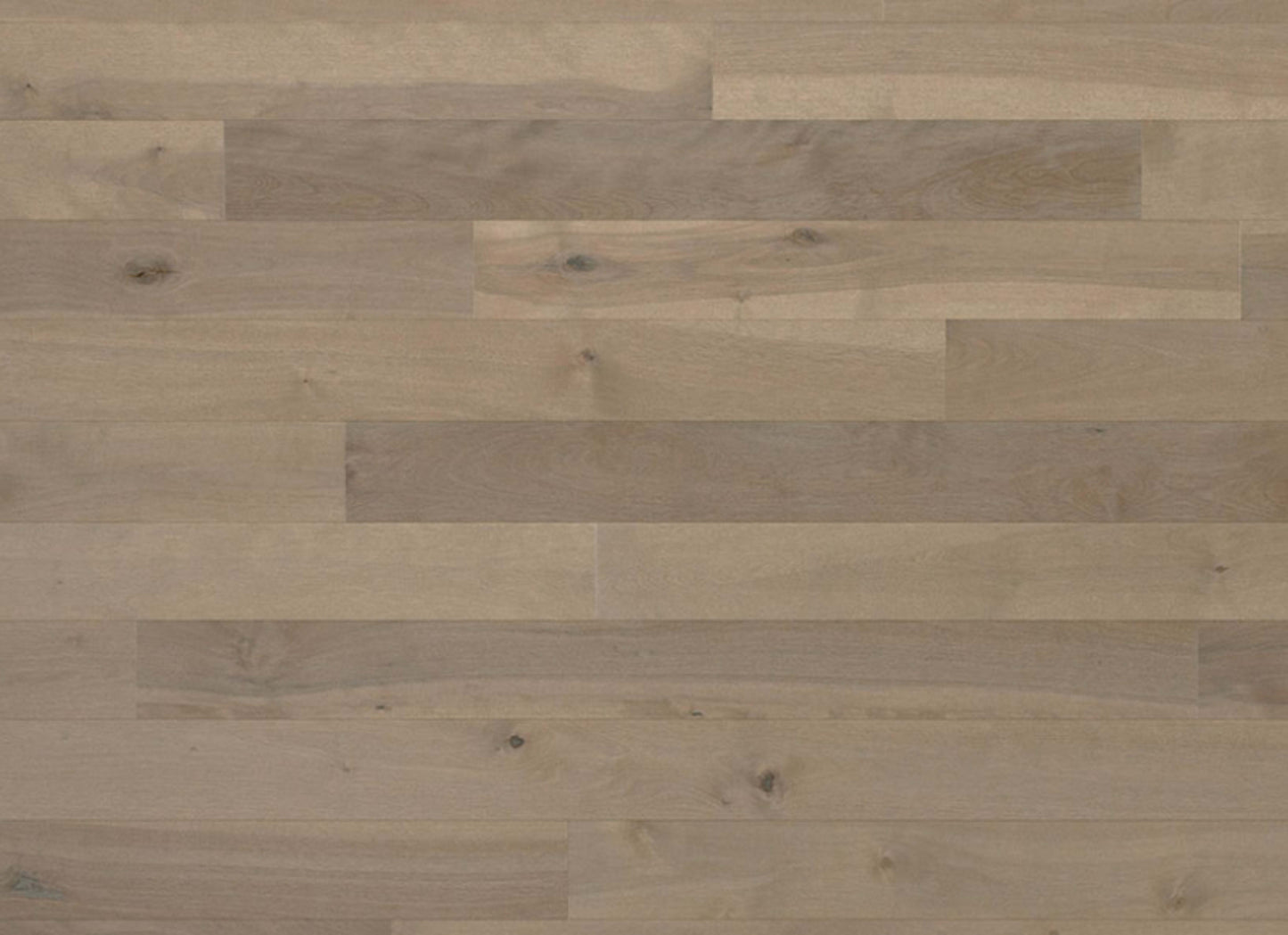 Essential Yellow Birch - Solid in Talpa 2.25