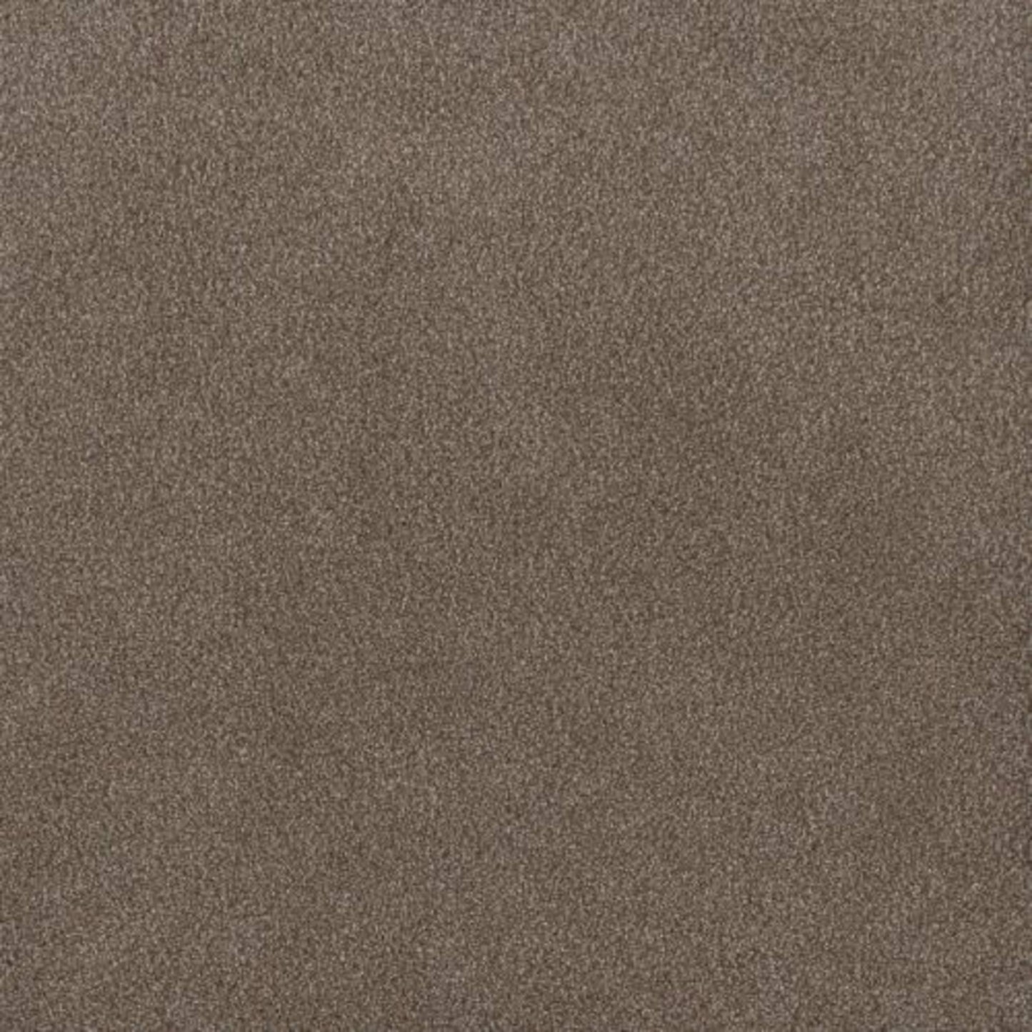 PALMETTO I in Eagle Crest Carpet